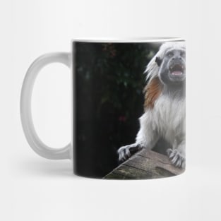 Cotton Top Tamarin Mug